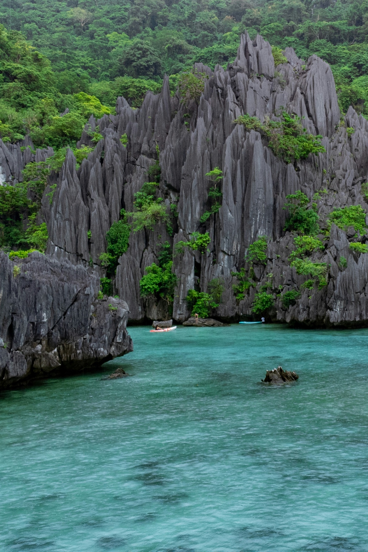 Lagon karstique d'El Nido, eau turquoise au pied des falaises
