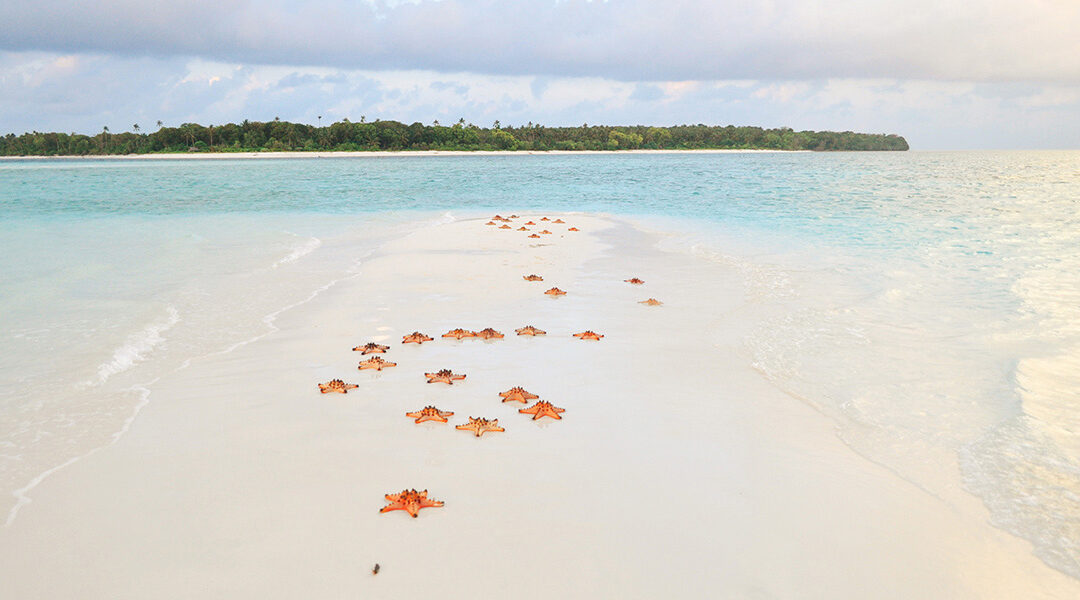 Balabac : la nouvelle destination tendance à Palawan