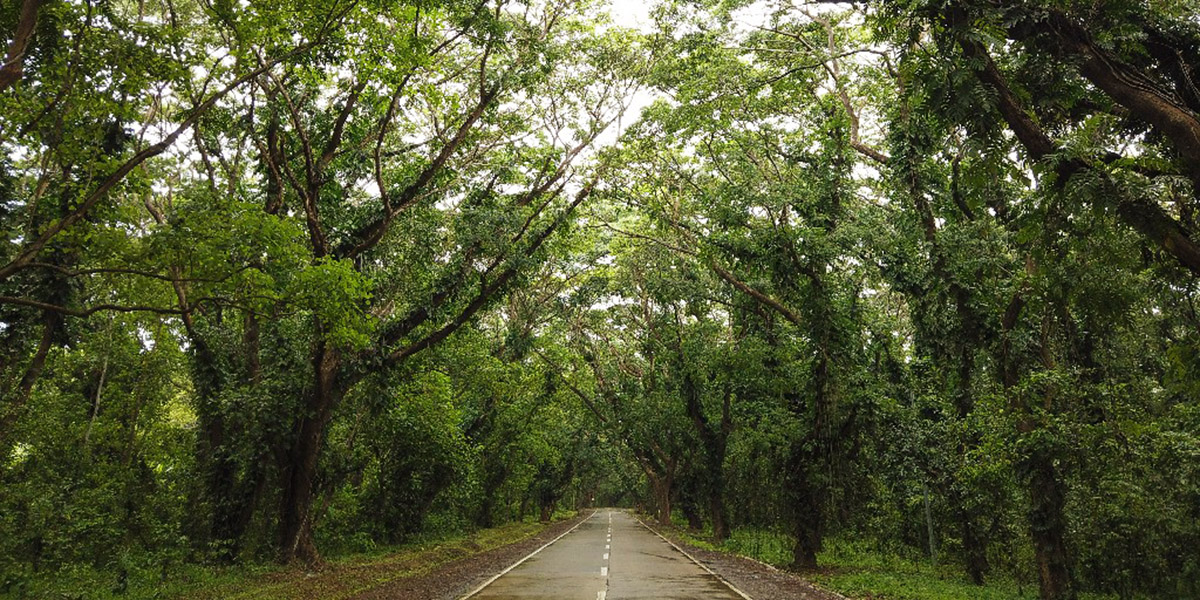 Palawan écologie