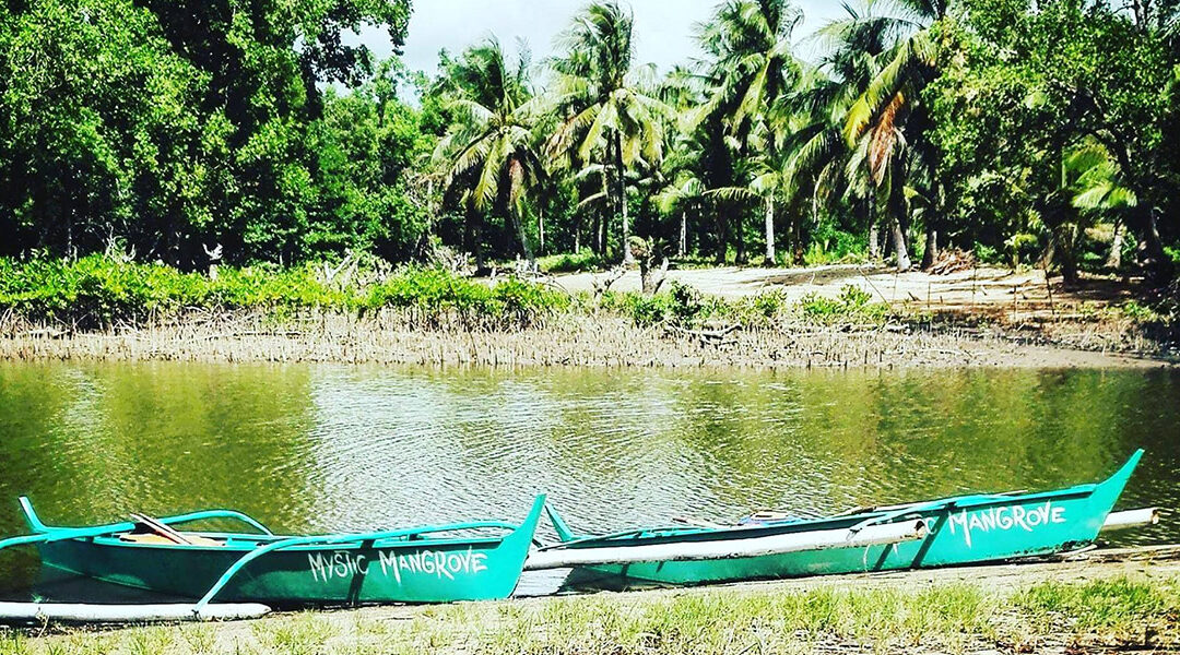 Visite des mangroves d’El Nido