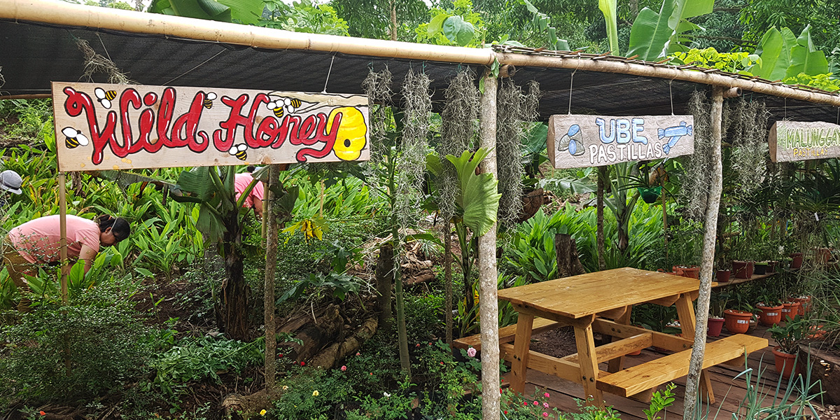 Palawan eco-tourisme