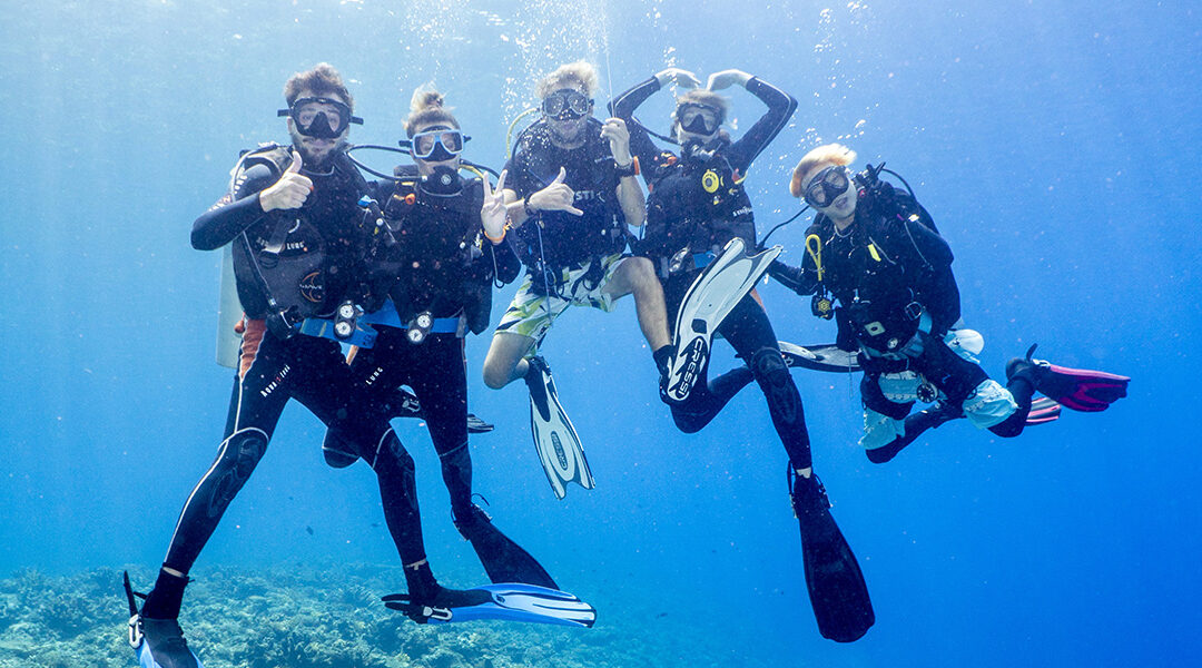 Plongée à Palawan : découvrez les joyaux sous-marins avec un séjour sur mesure