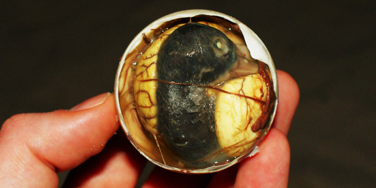 Balut