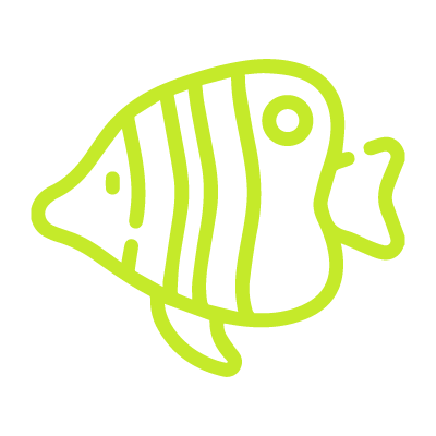 Palawan - speedboat axploration