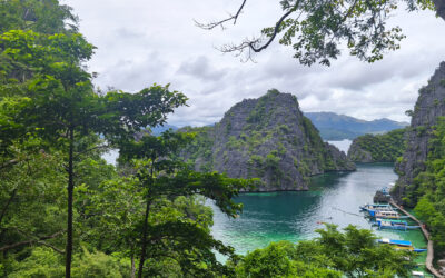 El Nido ou Coron : quelle destination choisir pour votre voyage à Palawan ?