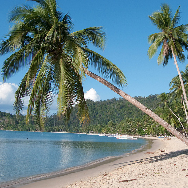 San Vincente & Long Beach Palawan