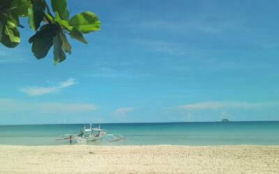 Palawan 2025-2026 : guide complet pour préparer votre voyage